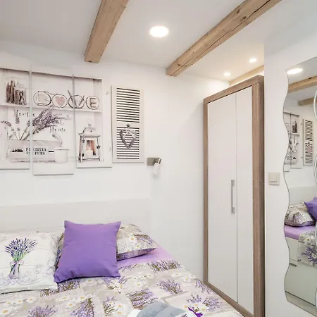 Lavender 3*